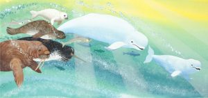illustration from book of beluga whales, narwhal, seals swimming together