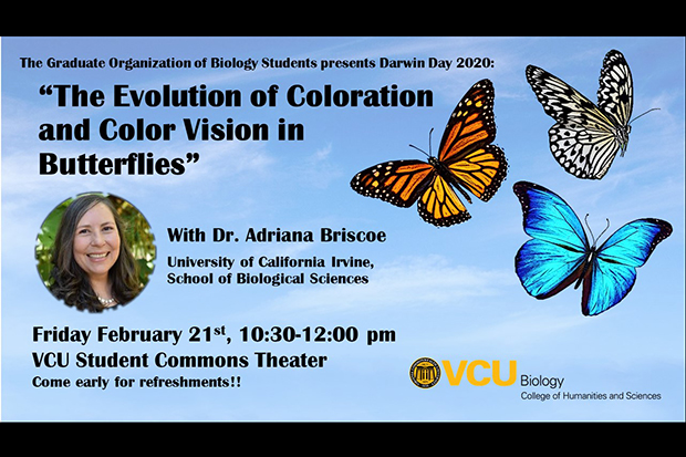 VCU Biology Presents Darwin Day 2020.  Text reads "The Graduate Organization of Biology Students presents Darwin Day 2020: 'The Evolution of Coloration and Color Vision in Butterflies' With Dr. Adriana Briscoe, University of California Irvine , School of Biological Sciences. Friday, February twenty-first. ten-thirty am to twelve pm, VCU Student Commons Theater, Come early for refreshments!  VCU Biology, College of Humanities and Sciences.