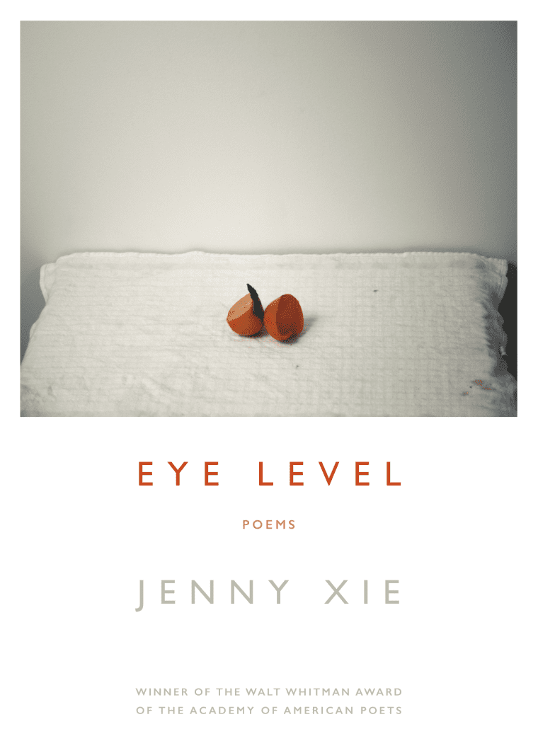 Cover image for Eye Level by Jenny Xie