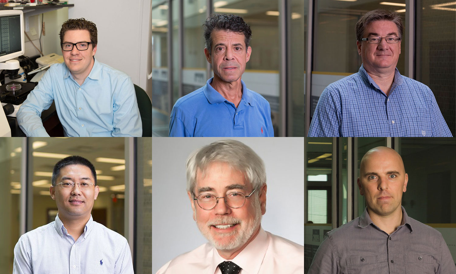 From left to right, top to bottom: Daniel E. Conway, Ph.D., Michaels Peters, Ph.D., Thomas Roper, Ph.D., Wei-Ning Wang, Ph.D., Gregory Buck, Ph.D., Tomasz Arodz, Ph.D.