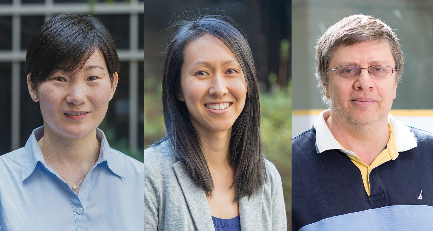 From left: Yanxiao Zhao, Ph.D.; Priscilla Hwang, Ph.D.; Vitaliy Avrutin, Ph.D.