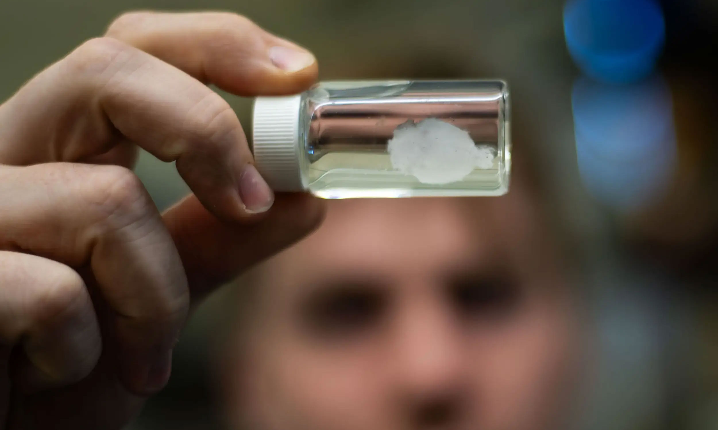 The lab’s tiny hydrogel rat brains are the first step toward building a realistic human brain model for TBI research. (Dean Hoffmeyer, Enterprise Marketing and Communications)