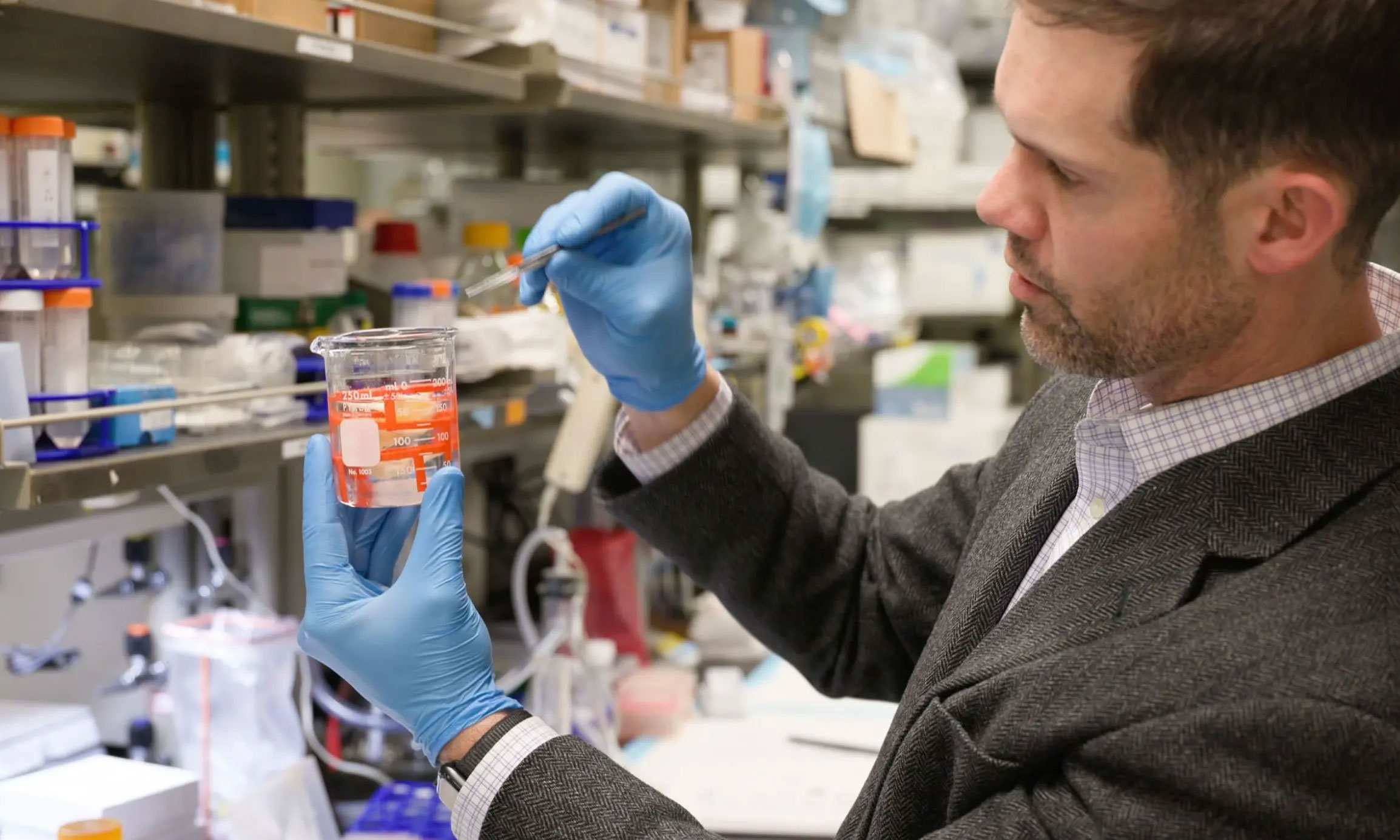 Michael McClure of the VCU College of Engineering reviews a decellularized muscle scaffold designed to help the body regenerate muscle tissue after traumatic injury. Through his startup, Sarcogenics, he is working to advance the technology toward clinical use.
