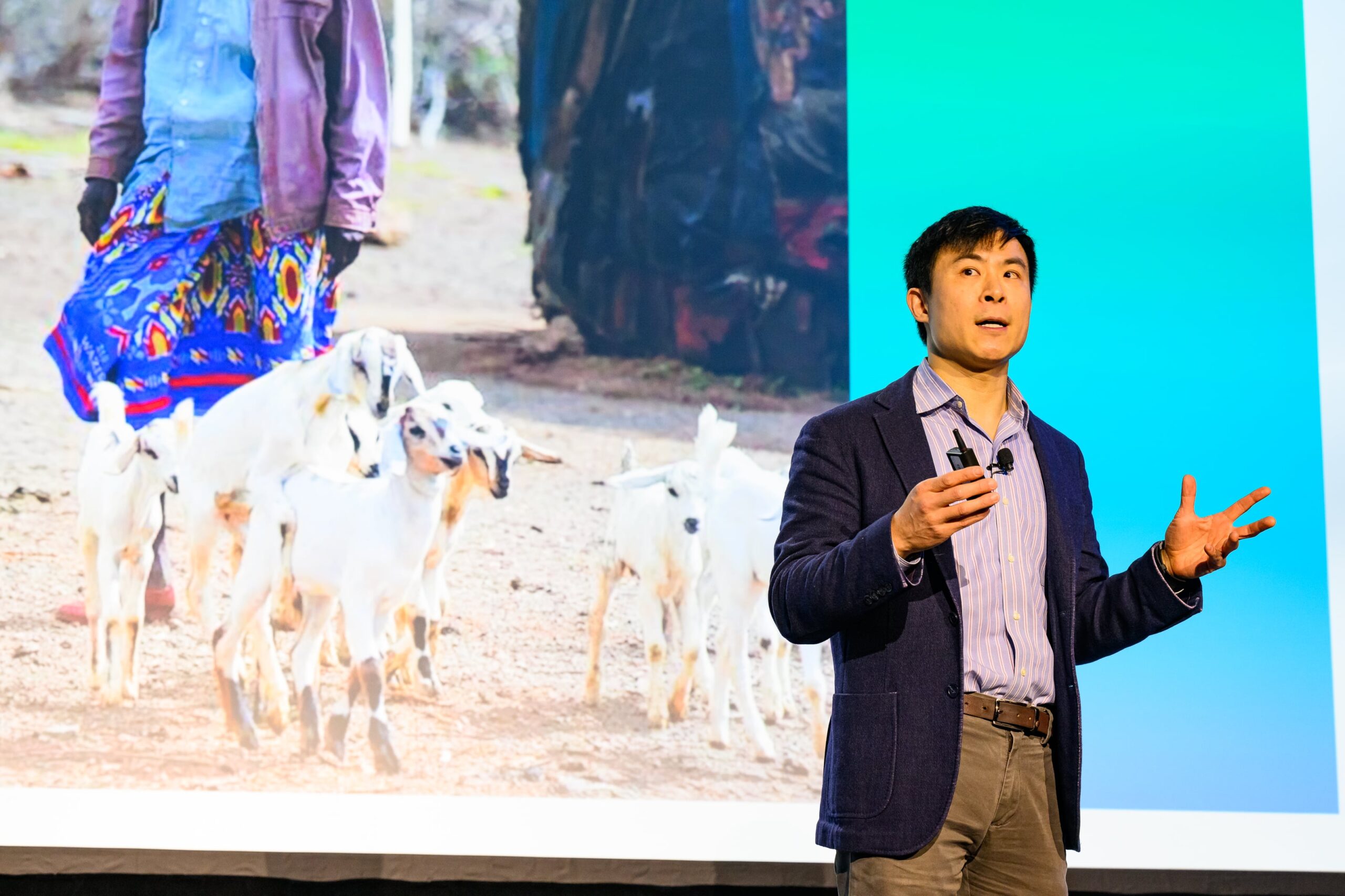 Alex Edmans tells a story from the stage, standing in front of a screen showing Emmanuel Sironga and his goats.