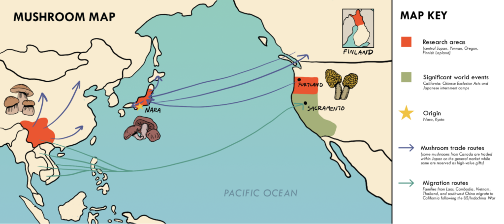 Visual Map of the Pacific ocean displaying the trade routes of mushrooms