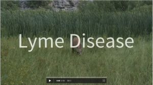 Lyme disease video screenshot
