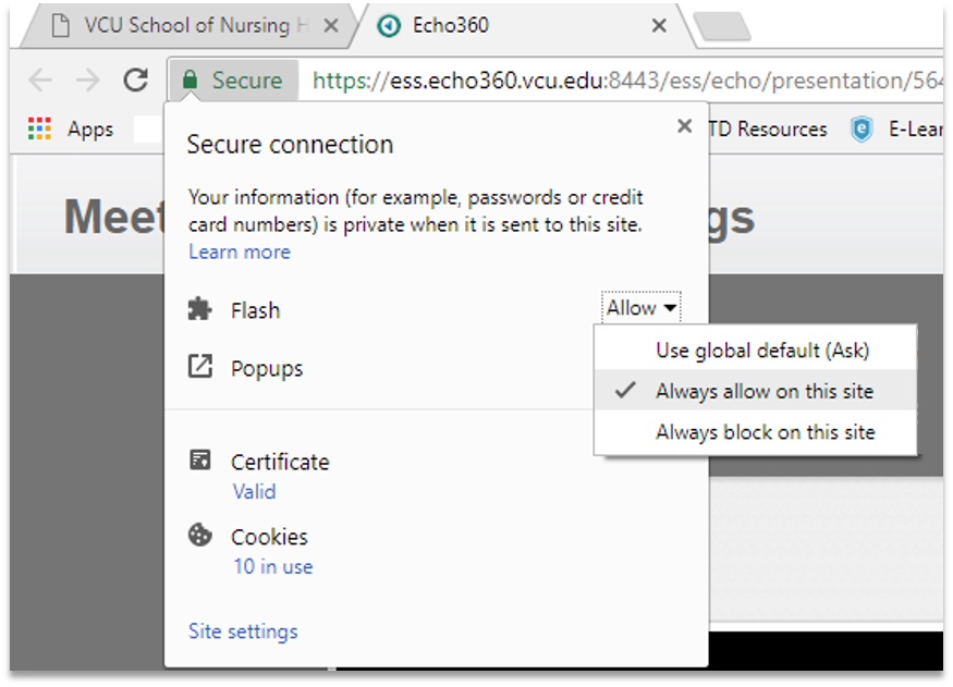 Screenshot showing how to enable the flash browser