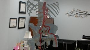 The image of a patient's torso bones and circulatory system floats superimposed on a real office. 