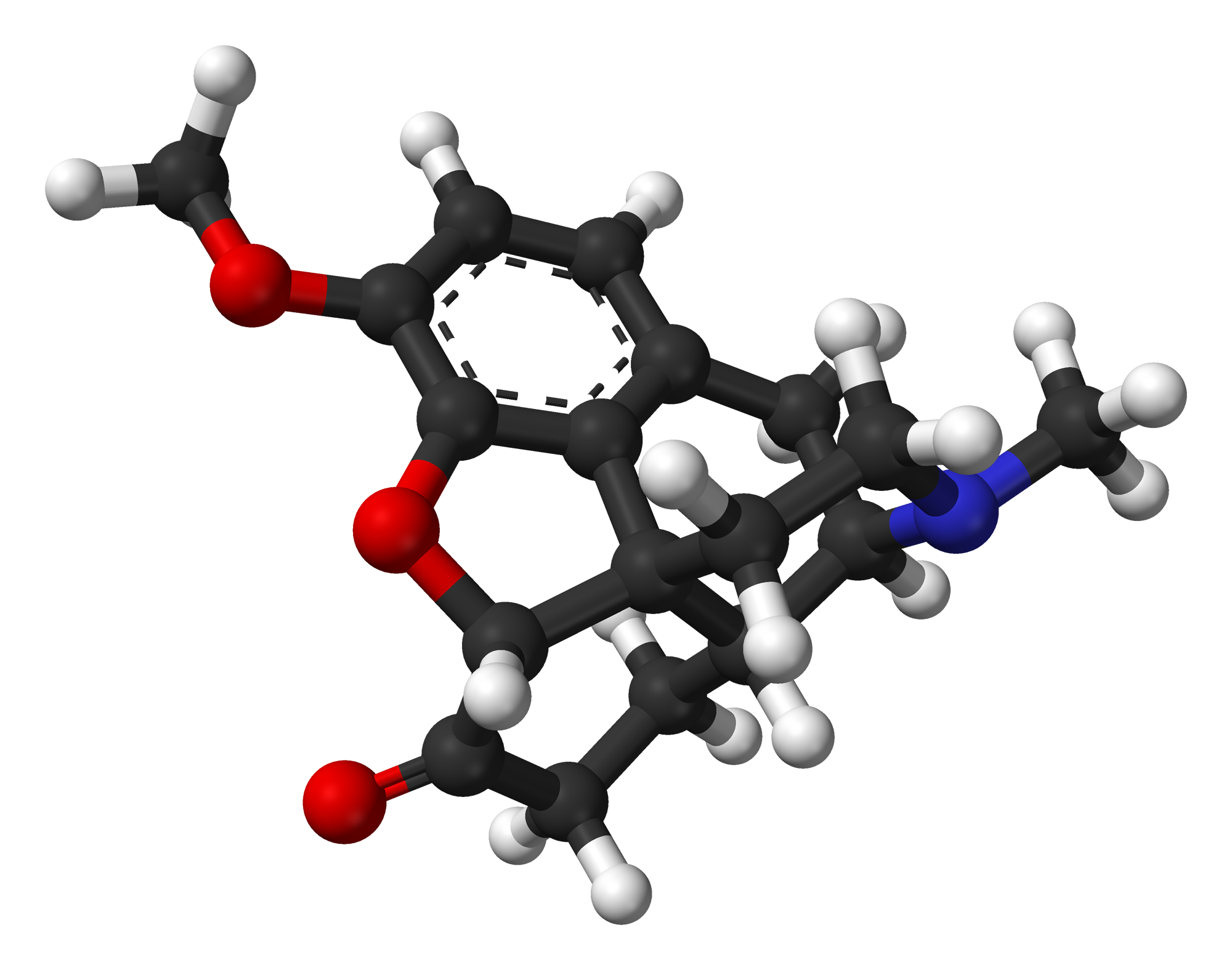 Never Mix These Two? (Methocarbamol & Hydrocodone) - i7x5nnq