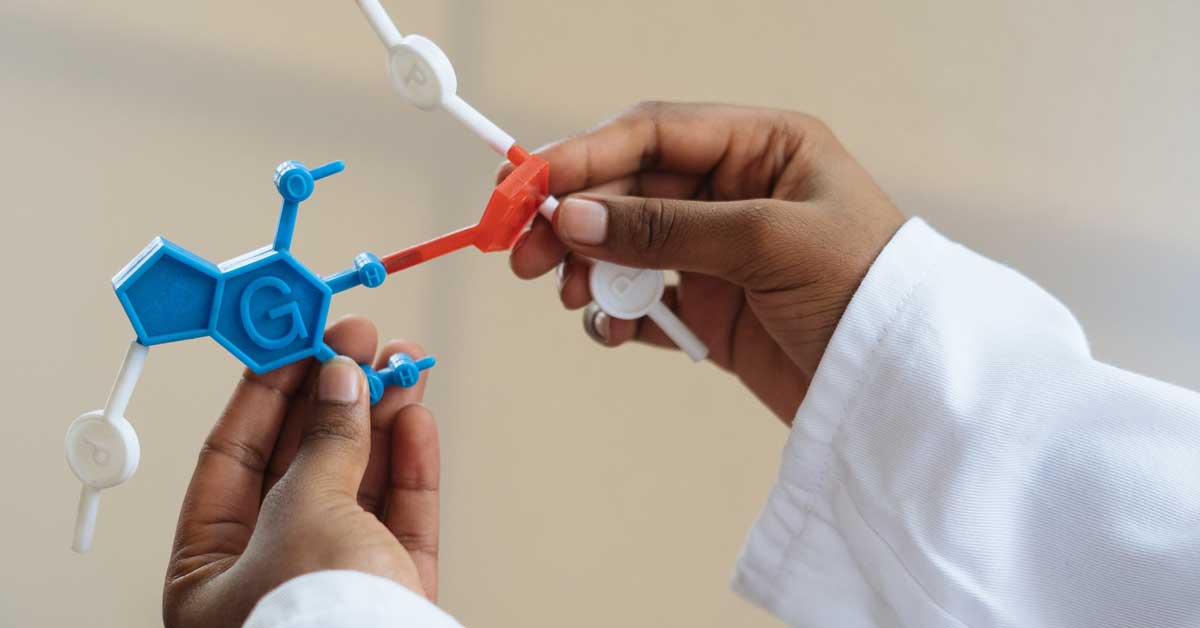 a scientist holding a physical model of molecules strung together