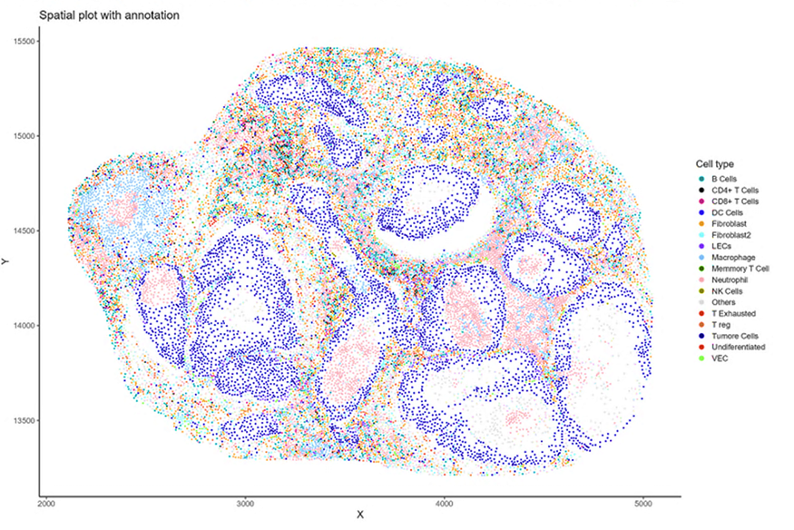 Spatial plot with annotation