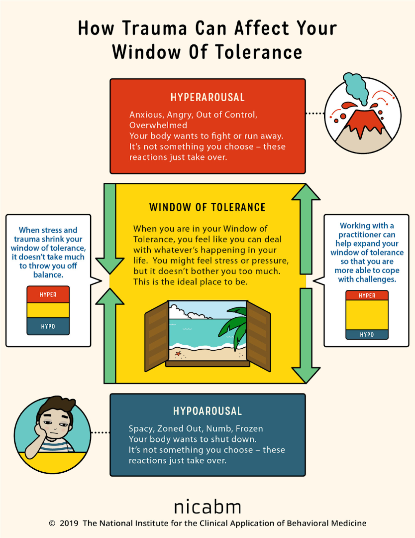how trauma impacts your winodow of intolerance infographic