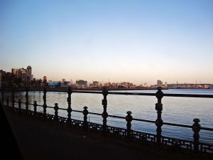 IMG_0518.72