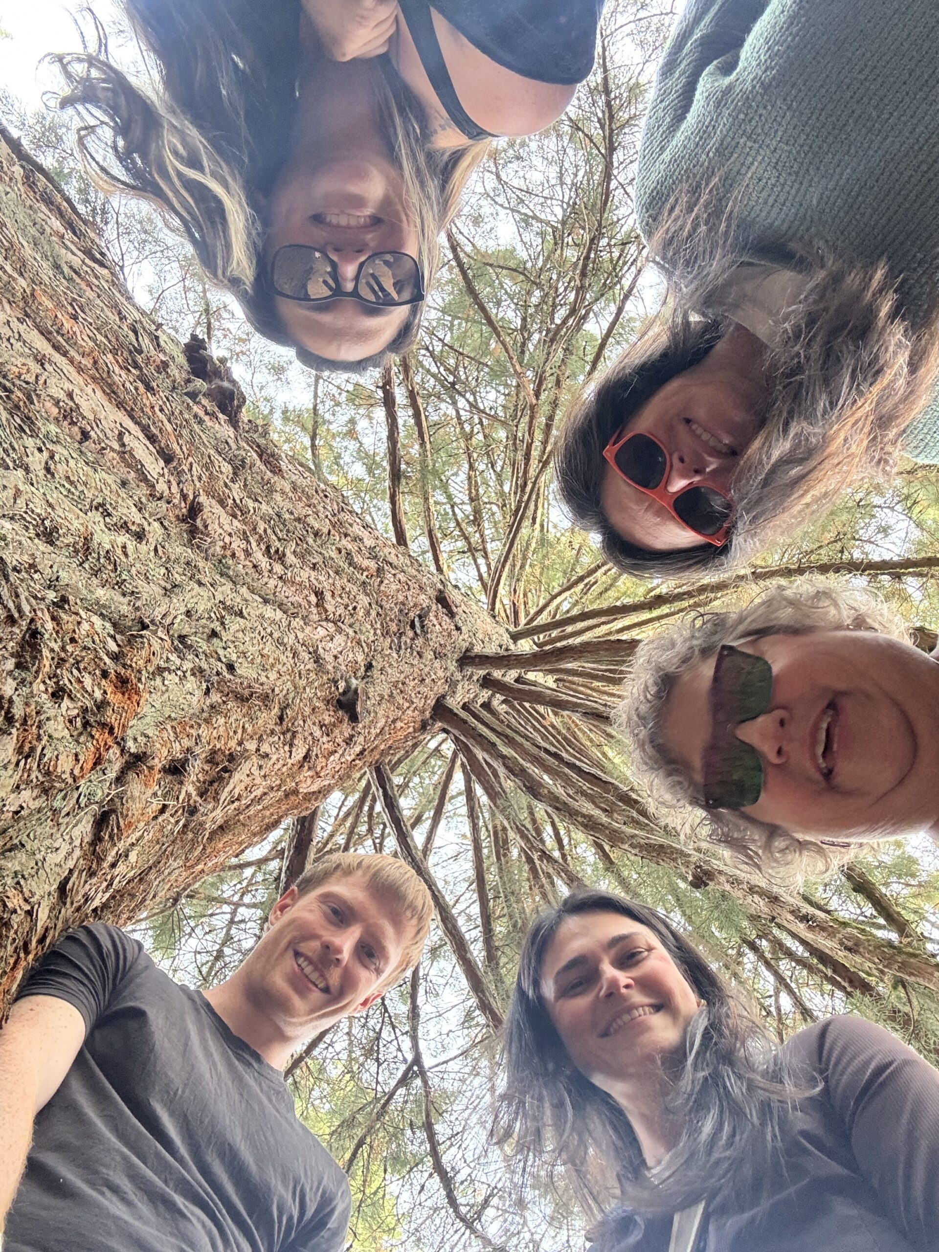 Photo of 5 people standing in a circle beneath a sequoia tree.